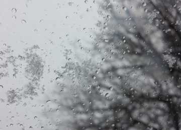 Мокрый снег ожидается в Воронеже в середине недели