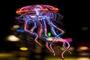 Медуза