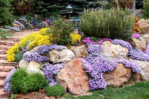 устройство альпийской горки