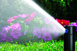 автоматическая система полива