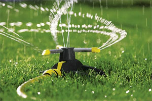 дождеватель