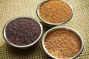 виды семян горчицы