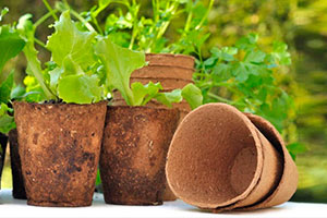 горшок торфяной