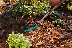 садовые грабли