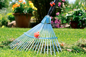 веерные грабли