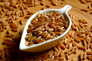 купить семена овса в Воронеже