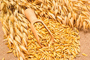 cемена овса