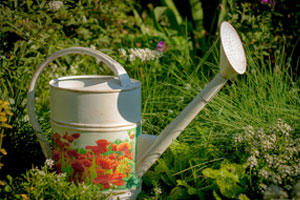 садовая лейка