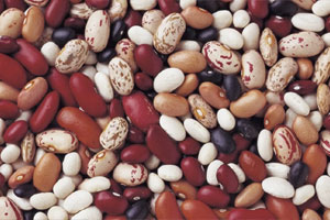 семена фасоли