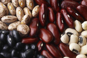 сорта семян фасоли