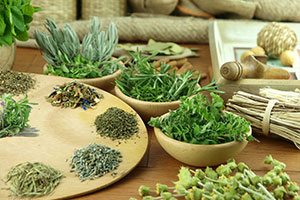 семена лекарственных трав