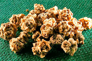 семена сахарной свеклы