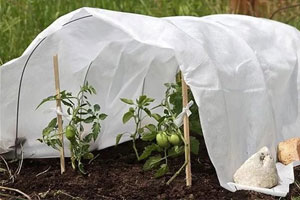 укрывной материал для растений