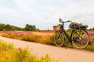 купить велосипед в Воронеже