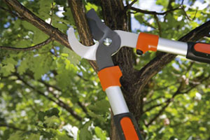 сучкорез садовый