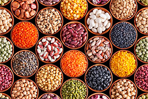 семена зернобобовых культур 