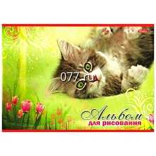 альбом для рисования