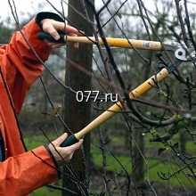 SPILPROF (Спилпроф)