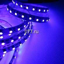 лента светодиодная ультрафиолет, с боковым свечением, влагозащищенная