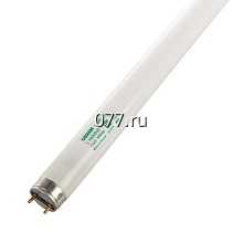 лампа люминесцентная (дневного света) Осрам (OSRAM)