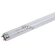 лампа люминесцентная (дневного света)