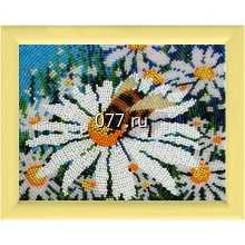 набор для вышивания на бумаге, ткани, для бисера, для мулине