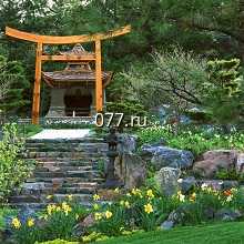 сад японский-устройство