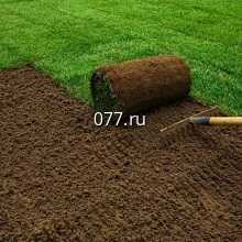 газон устройство, посевной, рулонный