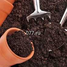 грунт (земля, почва)-обработка