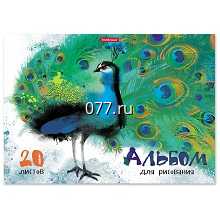 альбом для рисования