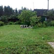 участок садово-парковый-инвентаризация (обследование, мониторинг)