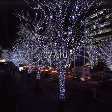 гирлянда электрическая (световая светодиодная) Клип-лайт (для украшения деревьев), Плей-лайт (световой дождь, занавес), сеть световая