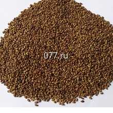 семена травы кормовой