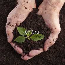 грунт (земля, почва)-обработка в т.ч. завоз грунта