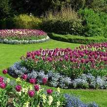 цветник (клумба)-устройство (высадка растений) в т.ч. альпинарий, рокарий (сад камней) из щебня, галечника