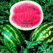 семена арбуза Кримсон Свит