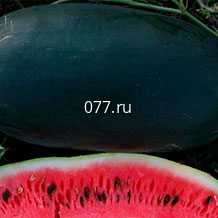 семена арбуза Принц Датский F1