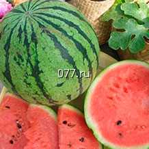 семена арбуза Пекинская радость Фермерская F1
