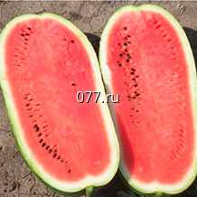 семена арбуза Шапка императора F1