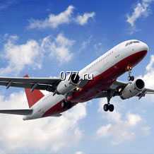 авиаперевозка (доставка) грузов (грузоперевозка авиатранспортом) скоропортящиеся грузы