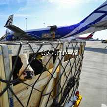 авиаперевозка (доставка) грузов (грузоперевозка авиатранспортом) живые животные