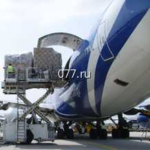 авиаперевозка (доставка) грузов (грузоперевозка авиатранспортом) живые животные