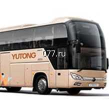 автобус с водителем-прокат (аренда, заказ, перевозка пассажиров) Ютонг