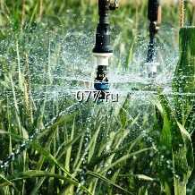 система автоматического полива (оросительная, поливочная) капельного орошения