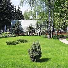 консультация по благоустройству территории