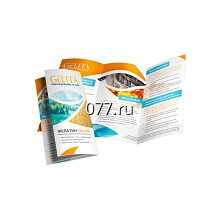 буклет-дизайн (разработка)