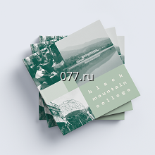 продукция печатная (полиграфическая)-дизайн (разработка)