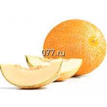 семена дыни Мускатная белая раннеспелая