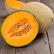 семена дыни Ананасная раннеспелая
