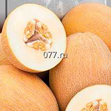 семена дыни мускатная белая